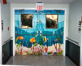 Exit Doors