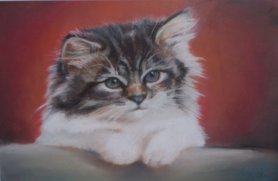 Kitty
